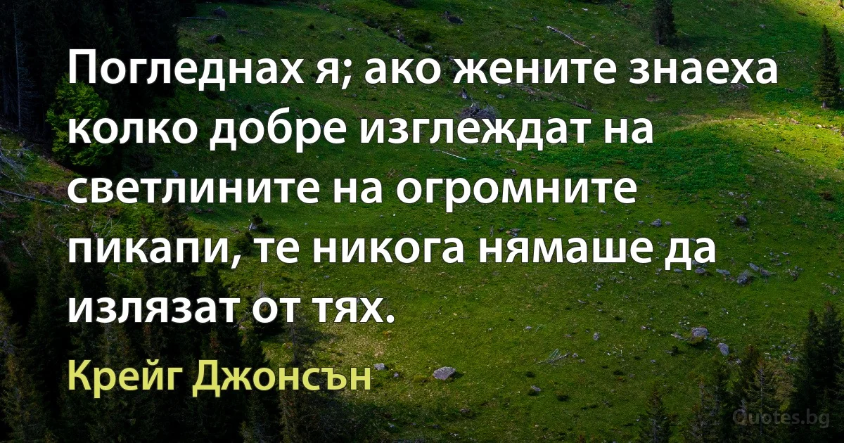 Погледнах я; ако жените знаеха колко добре изглеждат на светлините на огромните пикапи, те никога нямаше да излязат от тях. (Крейг Джонсън)