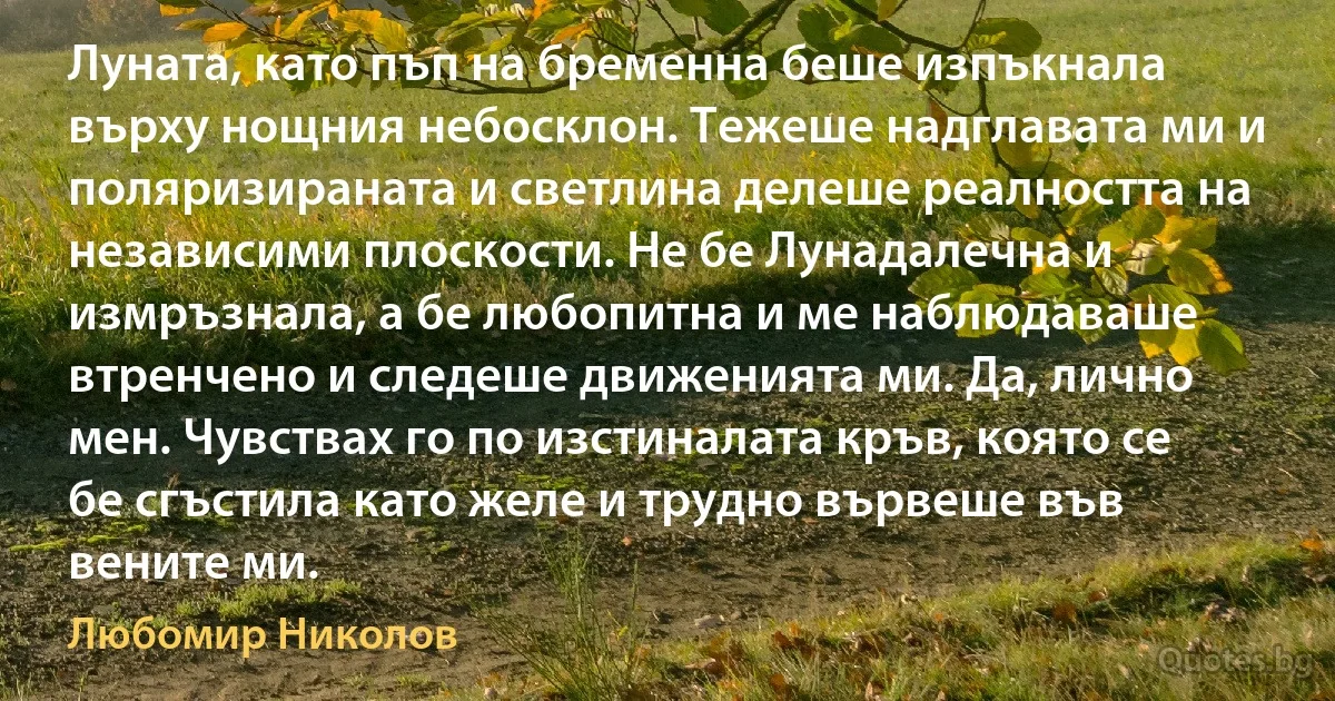 Луната, като пъп на бременна беше изпъкнала върху нощния небосклон. Тежеше надглавата ми и поляризираната и светлина делеше реалността на независими плоскости. Не бе Лунадалечна и измръзнала, а бе любопитна и ме наблюдаваше втренчено и следеше движенията ми. Да, лично мен. Чувствах го по изстиналата кръв, която се бе сгъстила като желе и трудно вървеше във вените ми. (Любомир Николов)