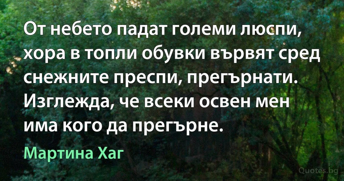 От небето падат големи люспи, хора в топли обувки вървят сред снежните преспи, прегърнати. Изглежда, че всеки освен мен има кого да прегърне. (Мартина Хаг)