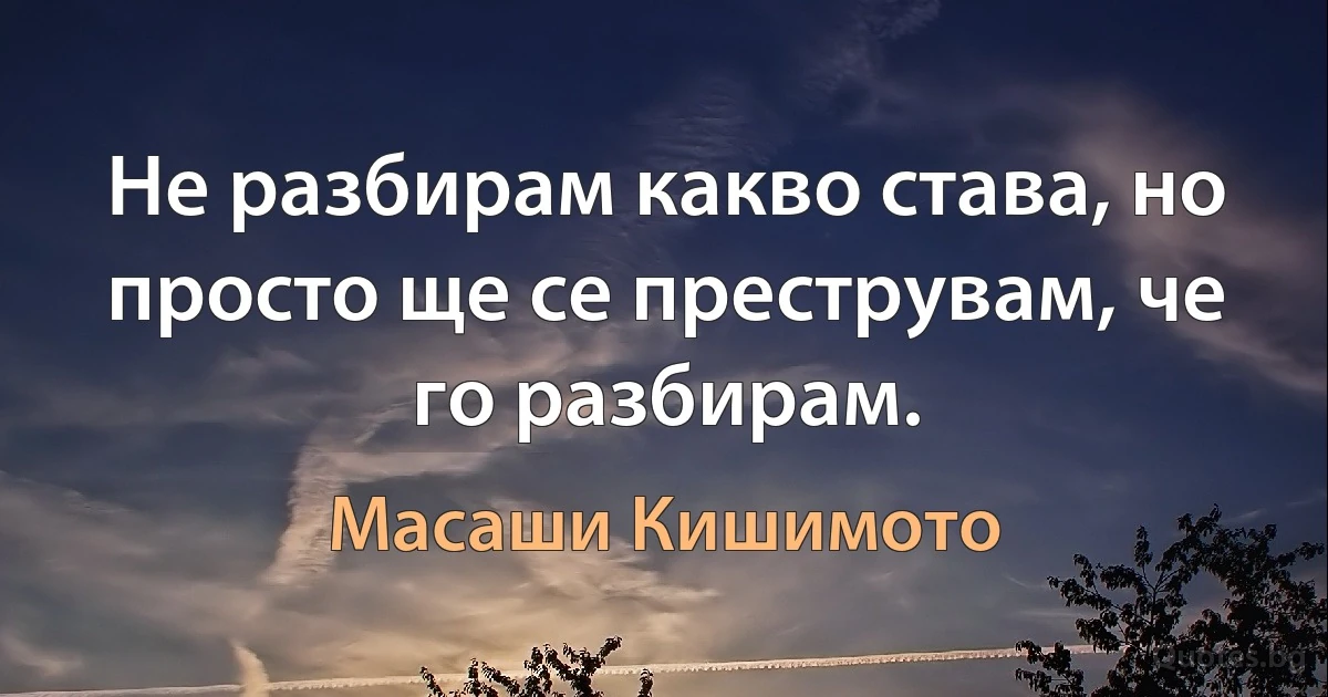 Не разбирам какво става, но просто ще се преструвам, че го разбирам. (Масаши Кишимото)