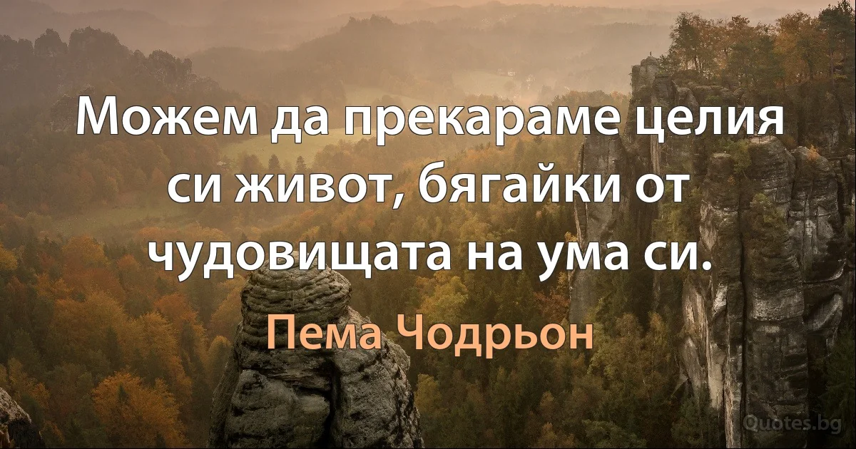 Можем да прекараме целия си живот, бягайки от чудовищата на ума си. (Пема Чодрьон)