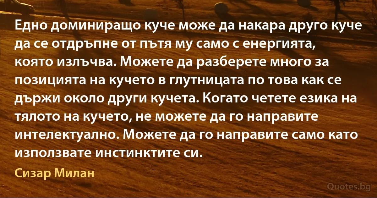 Едно доминиращо куче може да накара друго куче да се отдръпне от пътя му само с енергията, която излъчва. Можете да разберете много за позицията на кучето в глутницата по това как се държи около други кучета. Когато четете езика на тялото на кучето, не можете да го направите интелектуално. Можете да го направите само като използвате инстинктите си. (Сизар Милан)