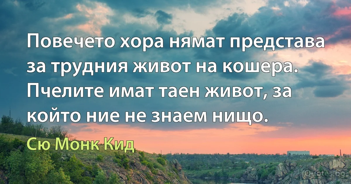 Повечето хора нямат представа за трудния живот на кошера. Пчелите имат таен живот, за който ние не знаем нищо. (Сю Монк Кид)