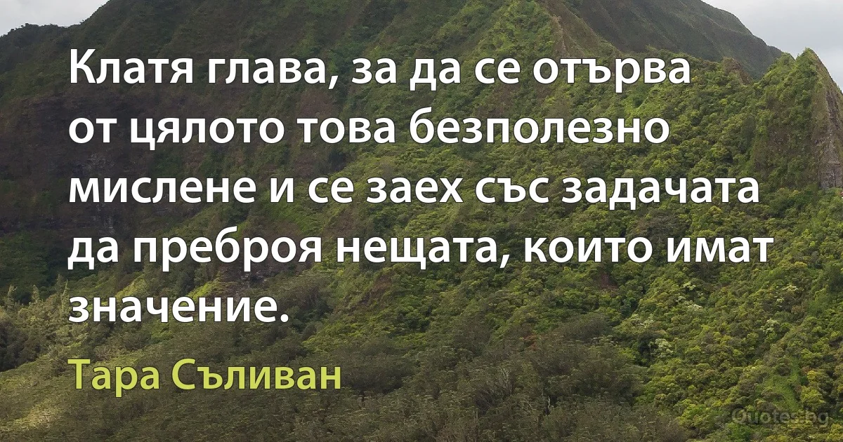 Клатя глава, за да се отърва от цялото това безполезно мислене и се заех със задачата да преброя нещата, които имат значение. (Тара Съливан)