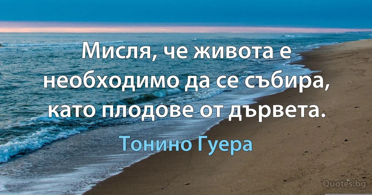 Мисля, че живота е необходимо да се събира, като плодове от дървета. (Тонино Гуера)