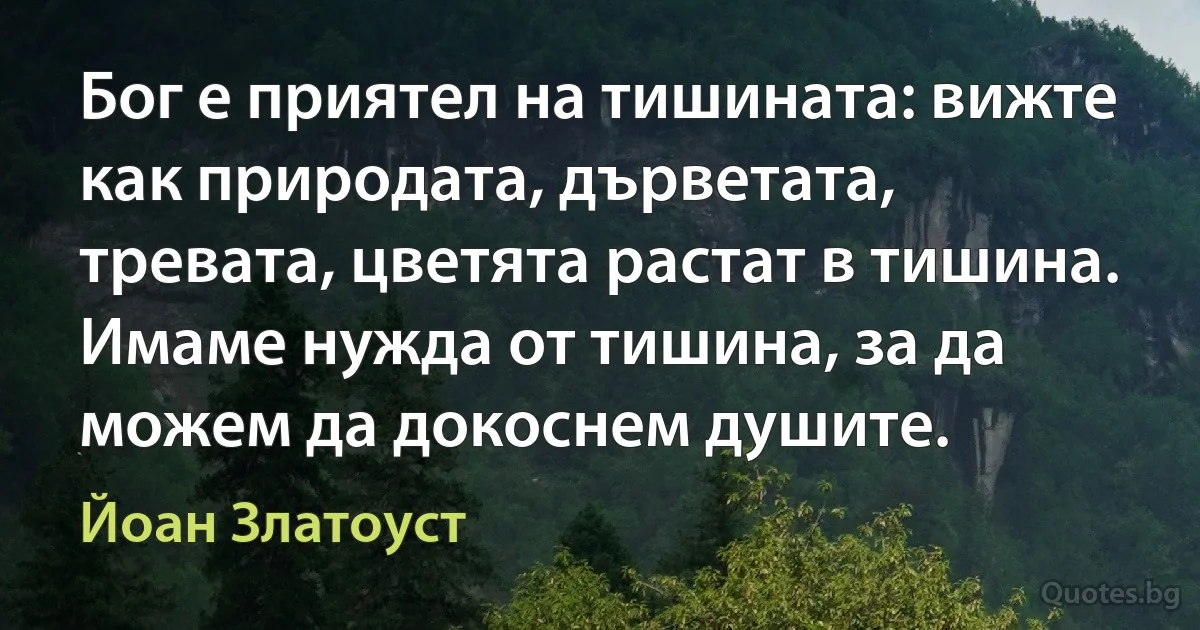 Бог е приятел на тишината: вижте как природата, дърветата, тревата, цветята растат в тишина. Имаме нужда от тишина, за да можем да докоснем душите. (Йоан Златоуст)