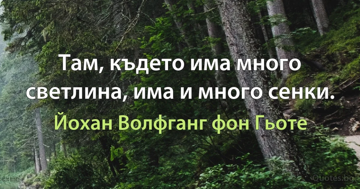 Там, където има много светлина, има и много сенки. (Йохан Волфганг фон Гьоте)