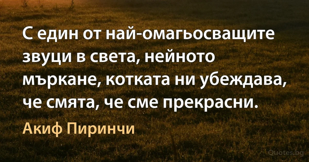 С един от най-омагьосващите звуци в света, нейното мъркане, котката ни убеждава, че смята, че сме прекрасни. (Акиф Пиринчи)