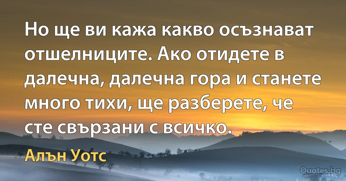 Но ще ви кажа какво осъзнават отшелниците. Ако отидете в далечна, далечна гора и станете много тихи, ще разберете, че сте свързани с всичко. (Алън Уотс)