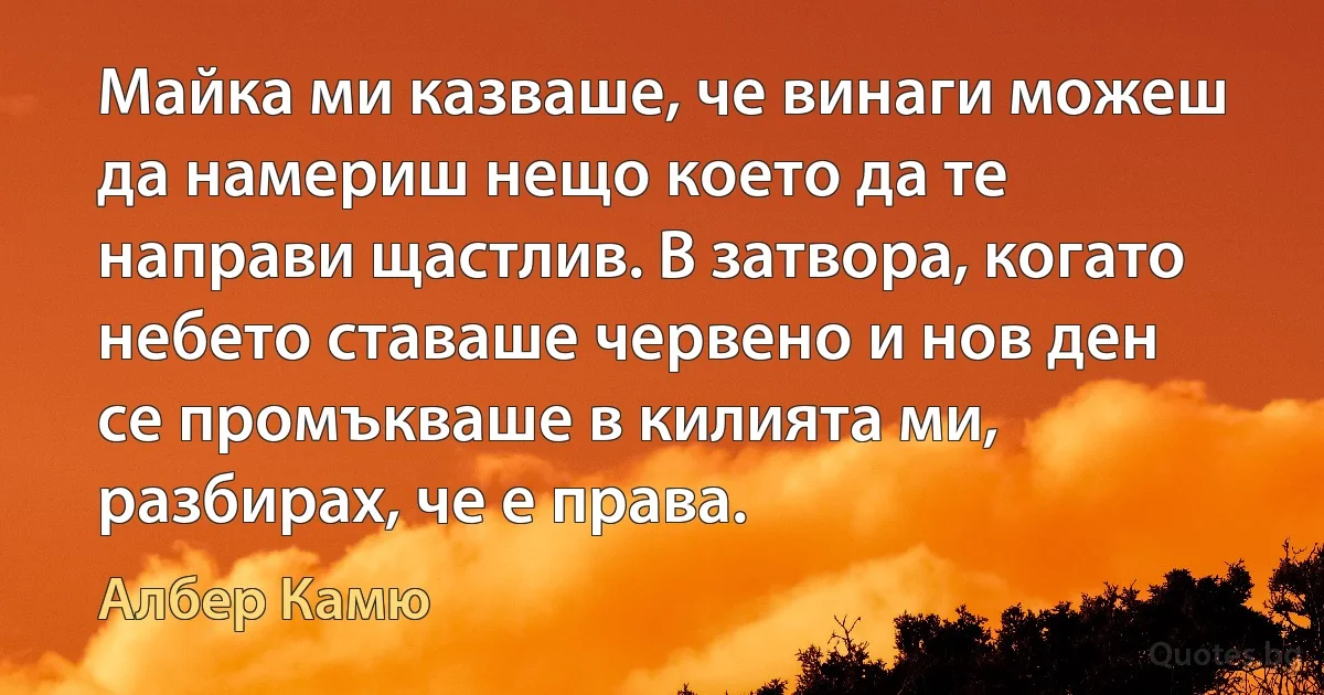 Майка ми казваше, че винаги можеш да намериш нещо което да те направи щастлив. В затвора, когато небето ставаше червено и нов ден се промъкваше в килията ми, разбирах, че е права. (Албер Камю)