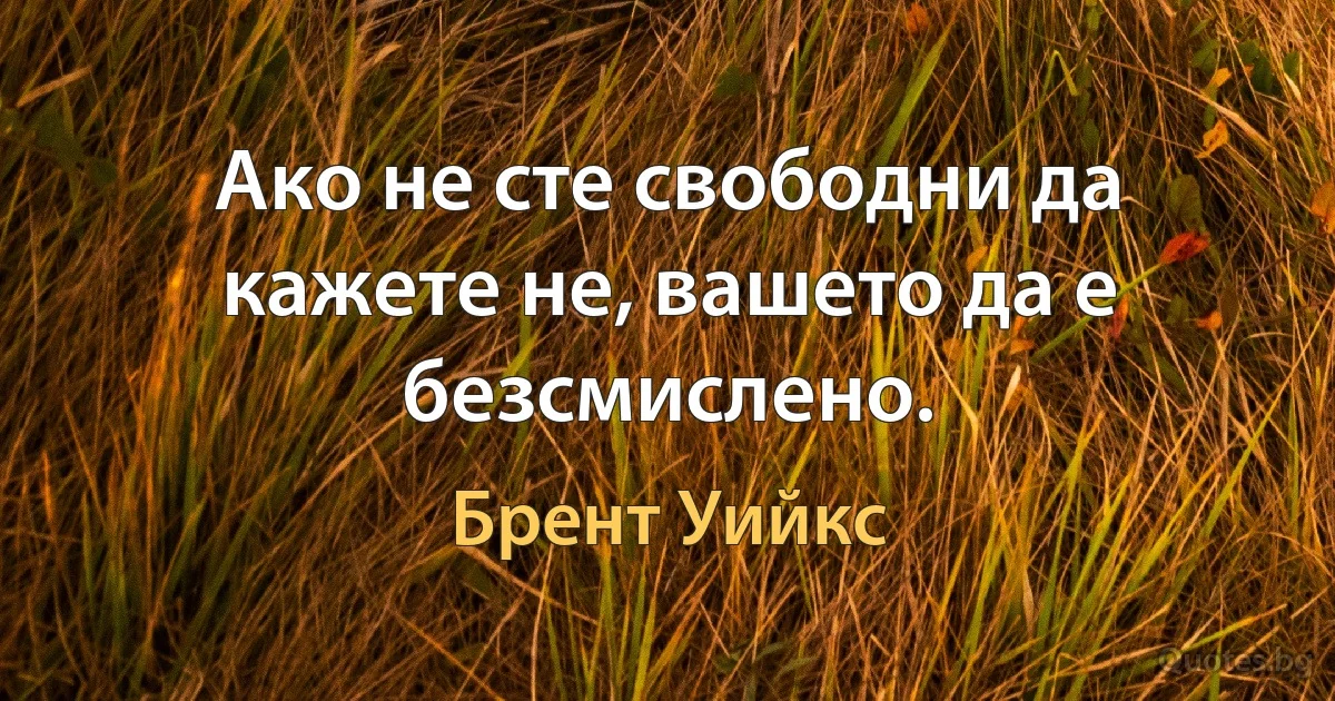 Ако не сте свободни да кажете не, вашето да е безсмислено. (Брент Уийкс)