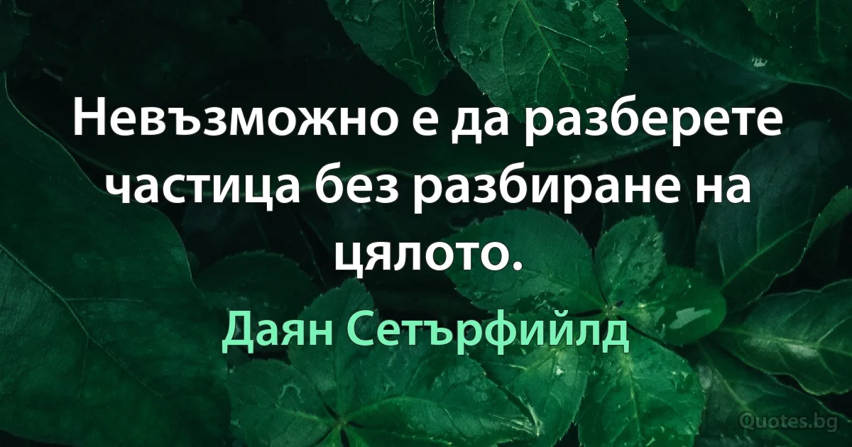 Невъзможно е да разберете частица без разбиране на цялото. (Даян Сетърфийлд)