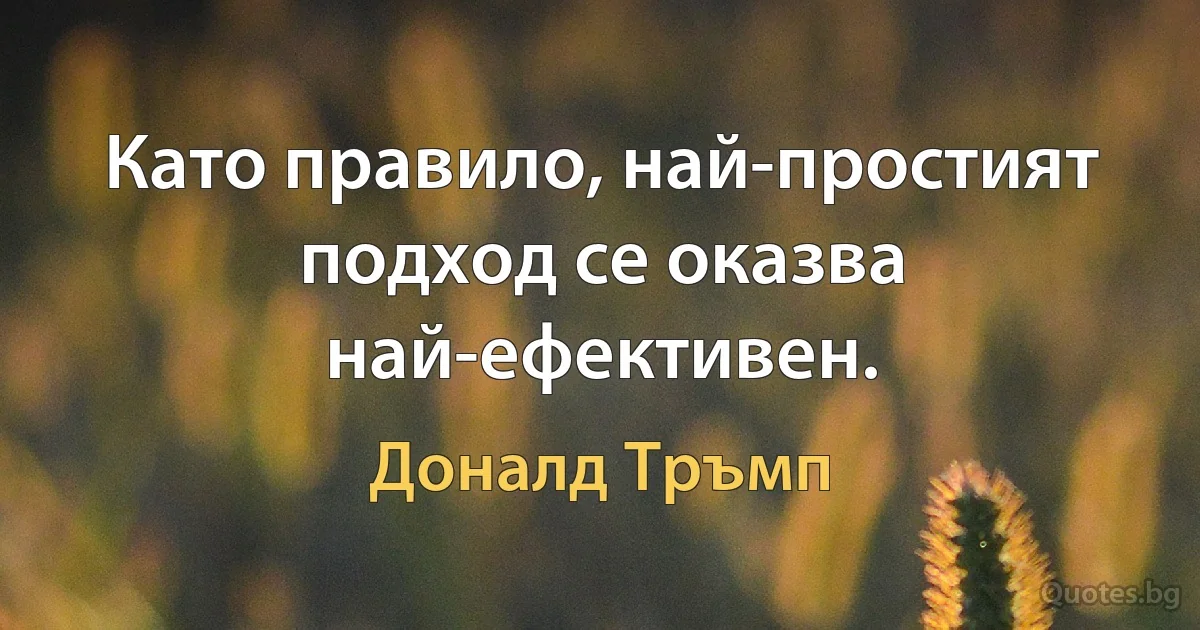 Като правило, най-простият подход се оказва най-ефективен. (Доналд Тръмп)