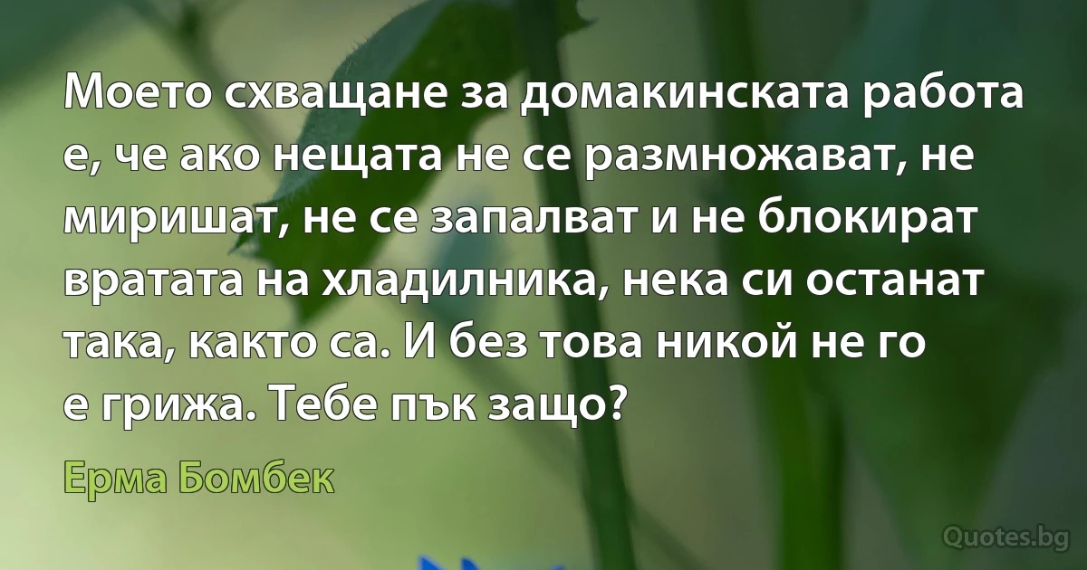 Моето схващане за домакинската работа е, че ако нещата не се размножават, не миришат, не се запалват и не блокират вратата на хладилника, нека си останат така, както са. И без това никой не го е грижа. Тебе пък защо? (Ерма Бомбек)