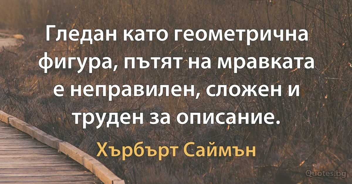 Гледан като геометрична фигура, пътят на мравката е неправилен, сложен и труден за описание. (Хърбърт Саймън)