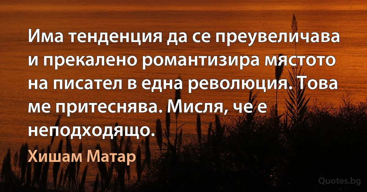 Има тенденция да се преувеличава и прекалено романтизира мястото на писател в една революция. Това ме притеснява. Мисля, че е неподходящо. (Хишам Матар)