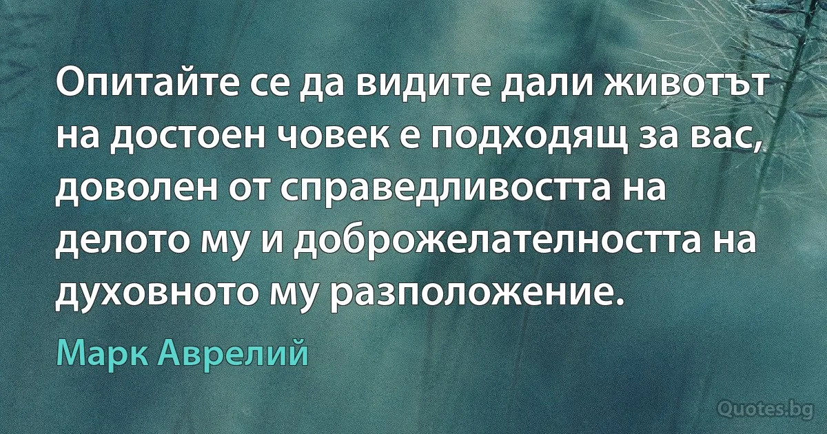 Опитайте се да видите дали животът на достоен човек е подходящ за вас, доволен от справедливостта на делото му и доброжелателността на духовното му разположение. (Марк Аврелий)