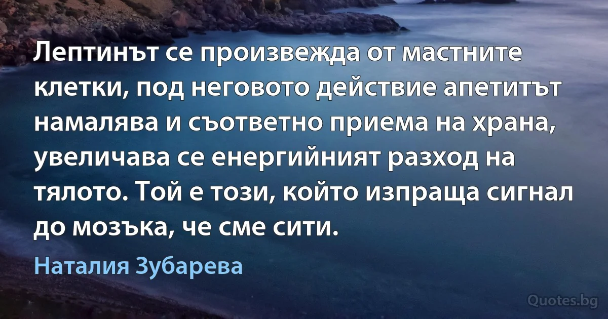 Лептинът се произвежда от мастните клетки, под неговото действие апетитът намалява и съответно приема на храна, увеличава се енергийният разход на тялото. Той е този, който изпраща сигнал до мозъка, че сме сити. (Наталия Зубарева)