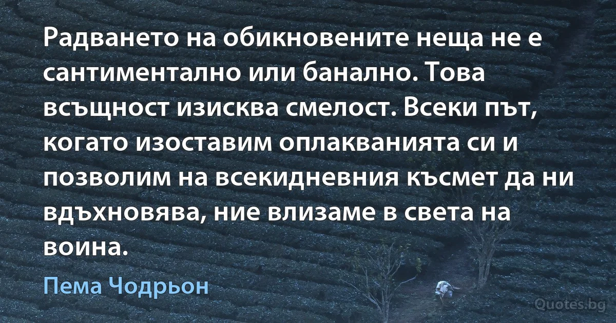 Радването на обикновените неща не е сантиментално или банално. Това всъщност изисква смелост. Всеки път, когато изоставим оплакванията си и позволим на всекидневния късмет да ни вдъхновява, ние влизаме в света на воина. (Пема Чодрьон)