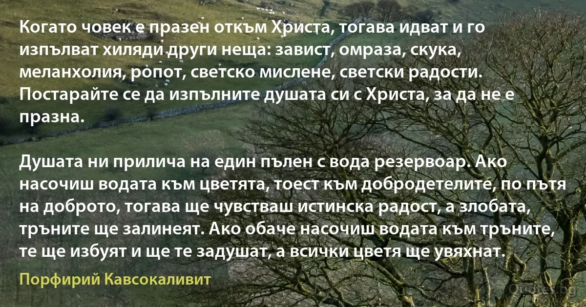 Когато човек е празен откъм Христа, тогава идват и го изпълват хиляди други неща: завист, омраза, скука, меланхолия, ропот, светско мислене, светски радости. Постарайте се да изпълните душата си с Христа, за да не е празна. 

Душата ни прилича на един пълен с вода резервоар. Ако насочиш водата към цветята, тоест към добродетелите, по пътя на доброто, тогава ще чувстваш истинска радост, а злобата, тръните ще залинеят. Ако обаче насочиш водата към тръните, те ще избуят и ще те задушат, а всички цветя ще увяхнат. (Порфирий Кавсокаливит)