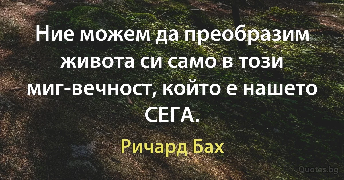 Ние можем да преобразим живота си само в този миг-вечност, който е нашето СЕГА. (Ричард Бах)