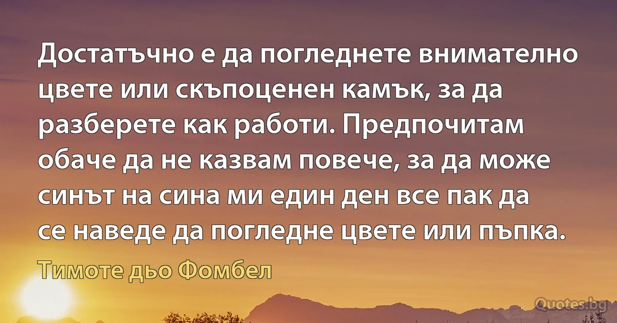 Достатъчно е да погледнете внимателно цвете или скъпоценен камък, за да разберете как работи. Предпочитам обаче да не казвам повече, за да може синът на сина ми един ден все пак да се наведе да погледне цвете или пъпка. (Тимоте дьо Фомбел)