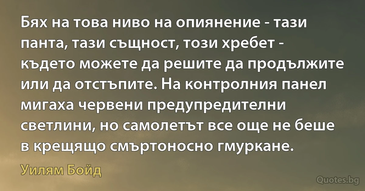 Бях на това ниво на опиянение - тази панта, тази същност, този хребет - където можете да решите да продължите или да отстъпите. На контролния панел мигаха червени предупредителни светлини, но самолетът все още не беше в крещящо смъртоносно гмуркане. (Уилям Бойд)