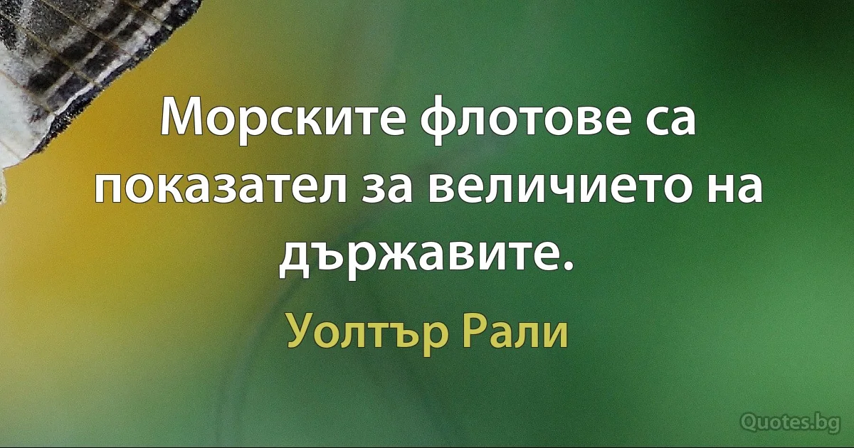 Морските флотове са показател за величието на държавите. (Уолтър Рали)