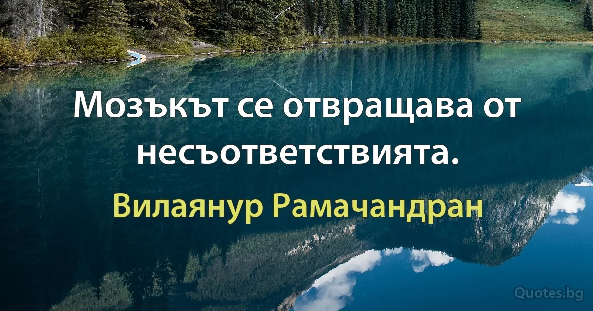 Мозъкът се отвращава от несъответствията. (Вилаянур Рамачандран)