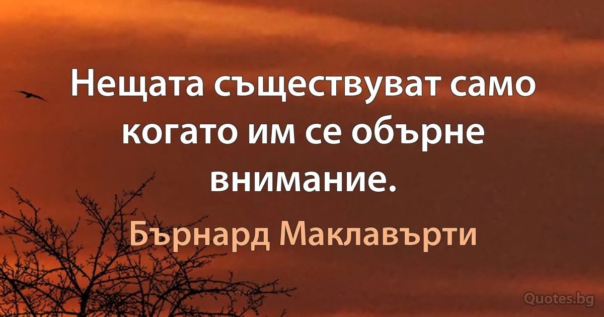 Нещата съществуват само когато им се обърне внимание. (Бърнард Маклавърти)