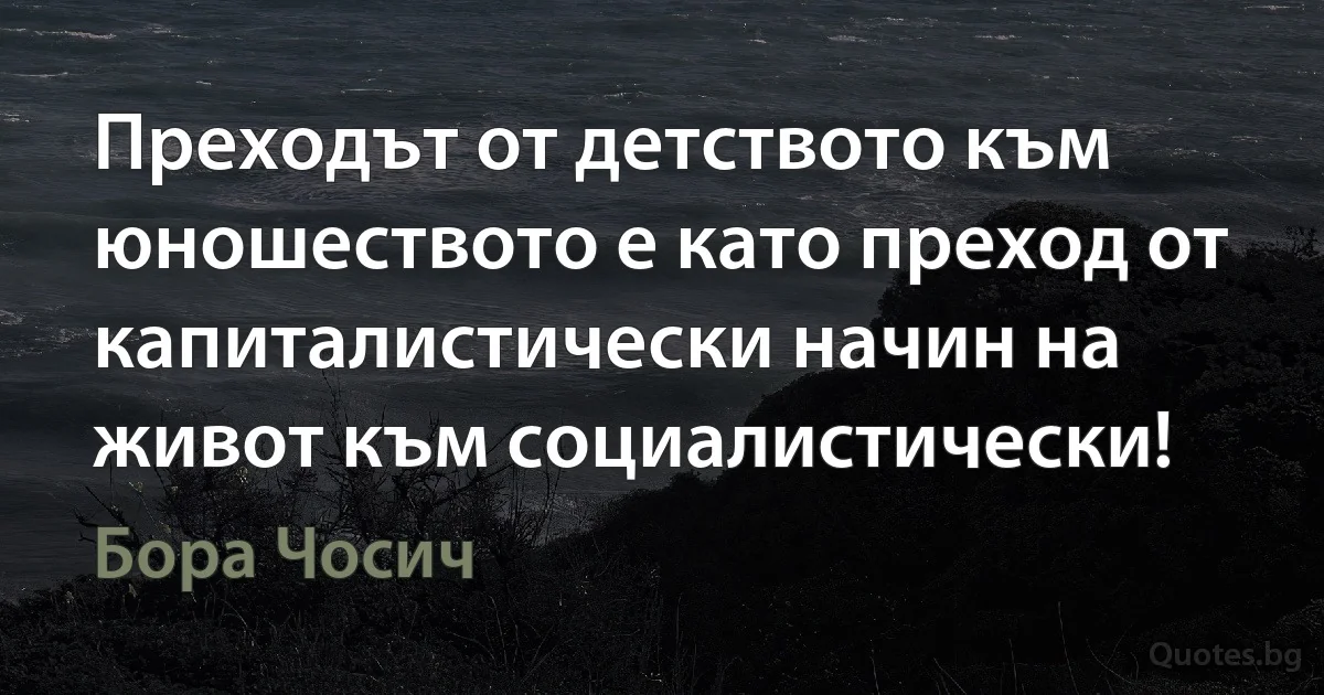 Преходът от детството към юношеството е като преход от капиталистически начин на живот към социалистически! (Бора Чосич)