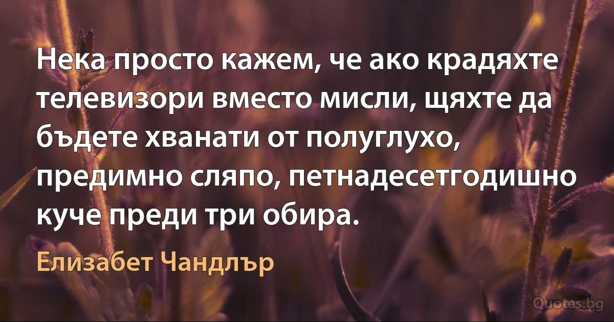 Нека просто кажем, че ако крадяхте телевизори вместо мисли, щяхте да бъдете хванати от полуглухо, предимно сляпо, петнадесетгодишно куче преди три обира. (Елизабет Чандлър)