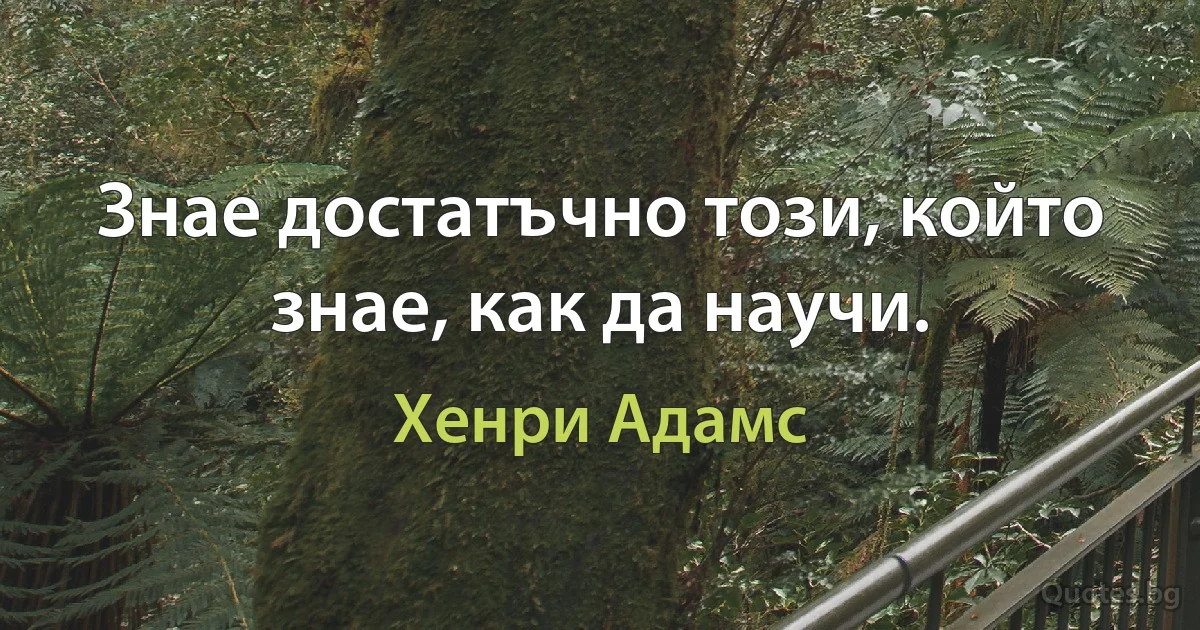 Знае достатъчно този, който знае, как да научи. (Хенри Адамс)