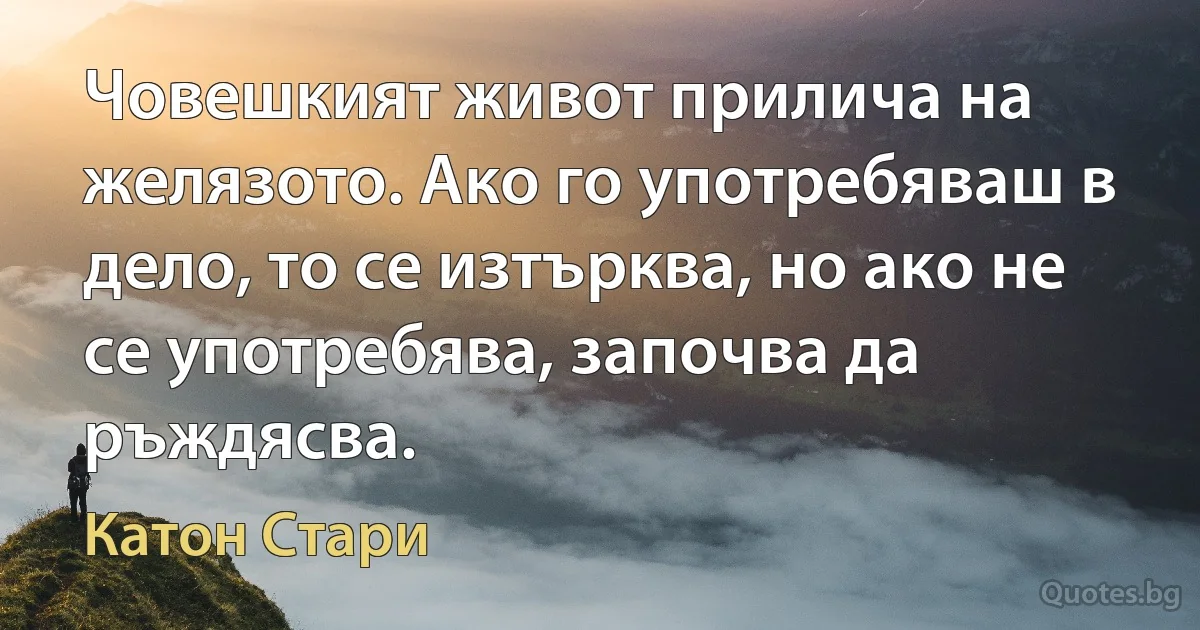 Човешкият живот прилича на желязото. Ако го употребяваш в дело, то се изтърква, но ако не се употребява, започва да ръждясва. (Катон Стари)