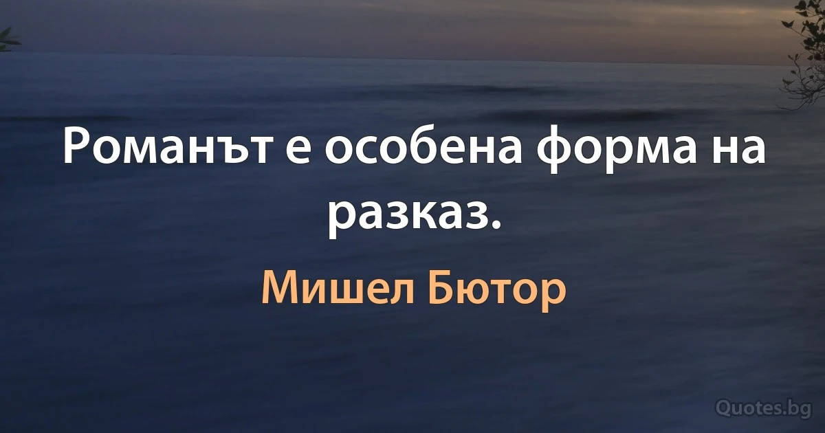 Романът е особена форма на разказ. (Мишел Бютор)