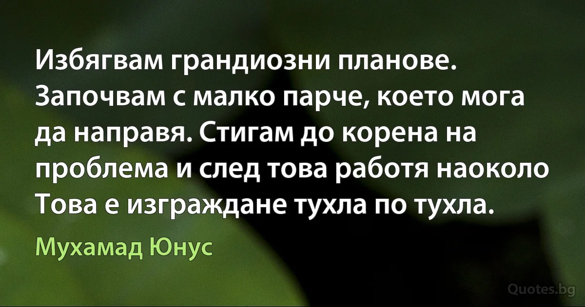 Избягвам грандиозни планове. Започвам с малко парче, което мога да направя. Стигам до корена на проблема и след това работя наоколо Това е изграждане тухла по тухла. (Мухамад Юнус)