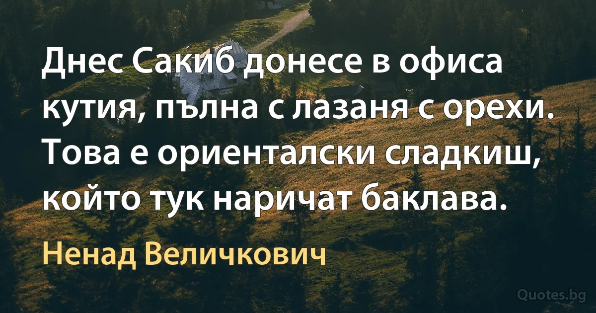 Днес Сакиб донесе в офиса кутия, пълна с лазаня с орехи. Това е ориенталски сладкиш, който тук наричат баклава. (Ненад Величкович)