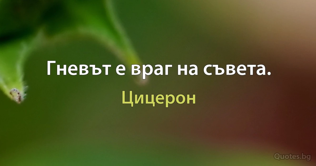 Гневът е враг на съвета. (Цицерон)