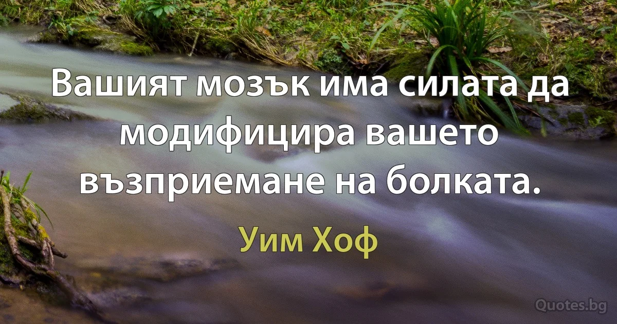 Вашият мозък има силата да модифицира вашето възприемане на болката. (Уим Хоф)