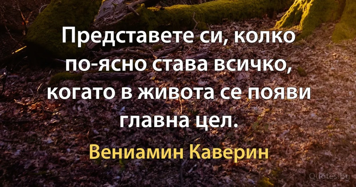 Представете си, колко по-ясно става всичко, когато в живота се появи главна цел. (Вениамин Каверин)