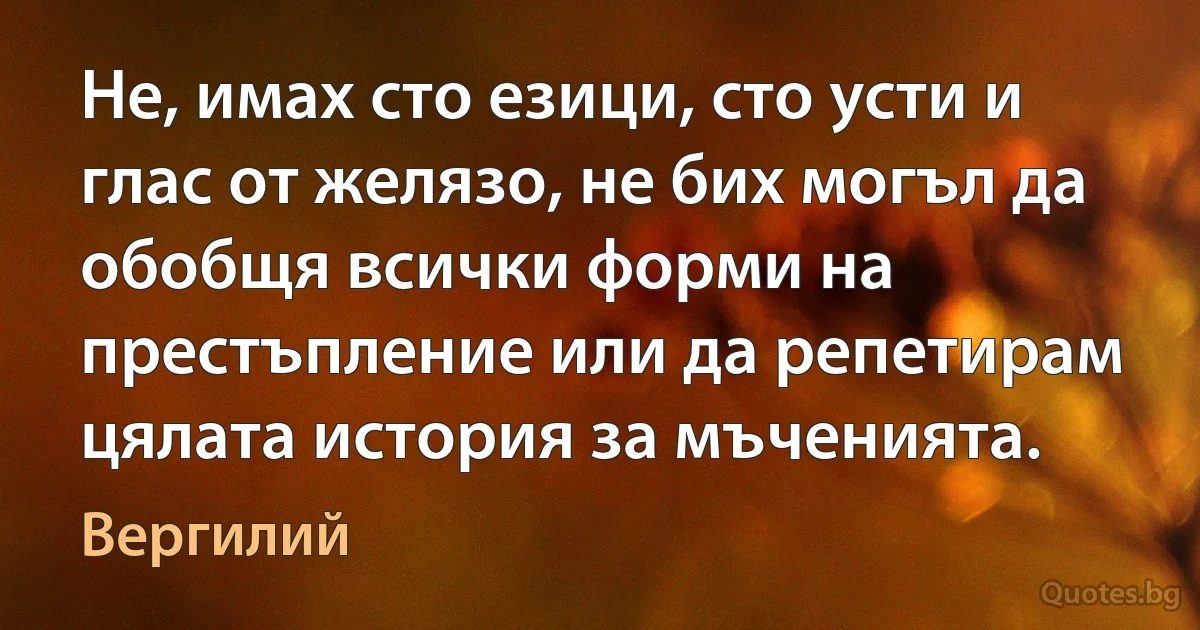 Не, имах сто езици, сто усти и глас от желязо, не бих могъл да обобщя всички форми на престъпление или да репетирам цялата история за мъченията. (Вергилий)