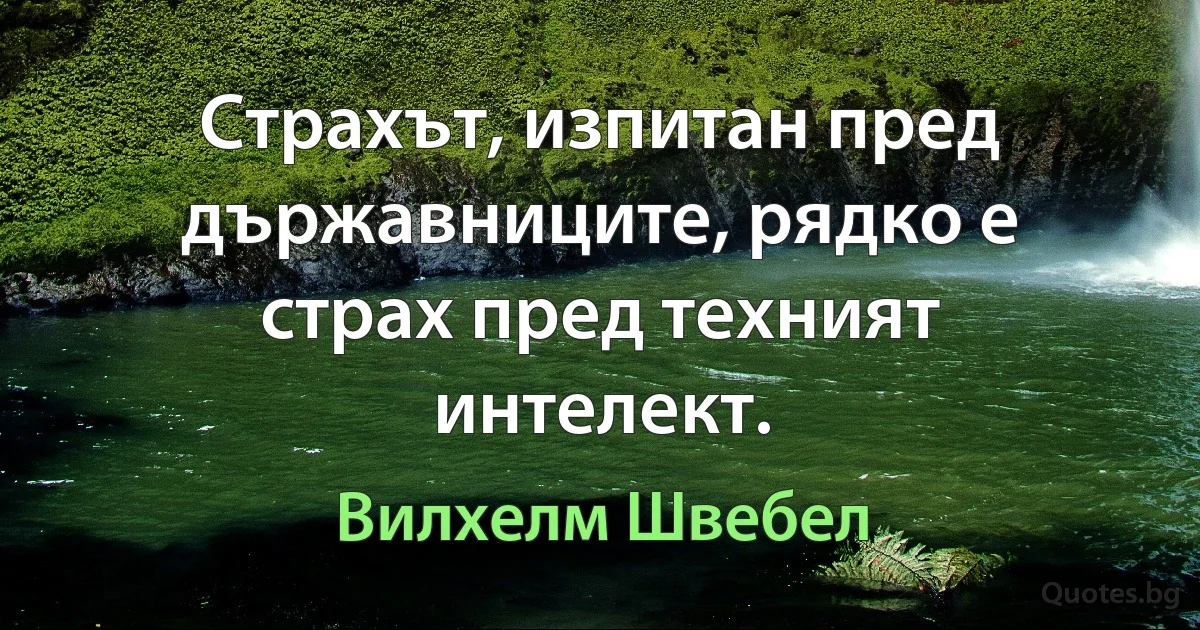 Страхът, изпитан пред държавниците, рядко е страх пред техният интелект. (Вилхелм Швебел)