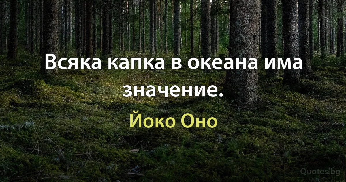 Всяка капка в океана има значение. (Йоко Оно)