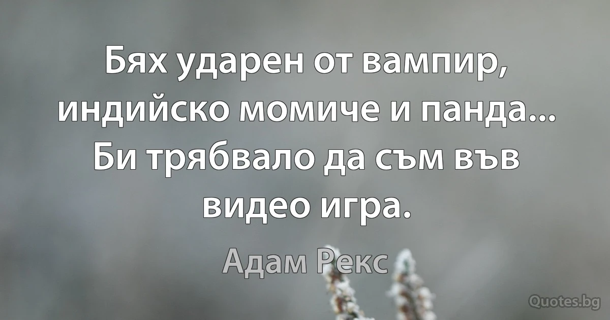 Бях ударен от вампир, индийско момиче и панда... Би трябвало да съм във видео игра. (Адам Рекс)