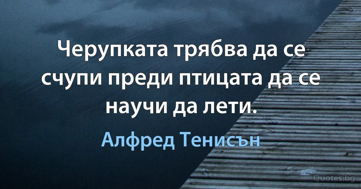 Черупката трябва да се счупи преди птицата да се научи да лети. (Алфред Тенисън)