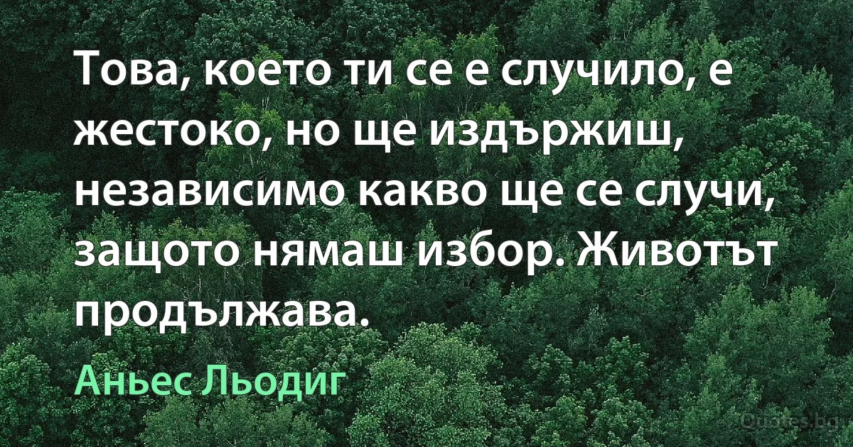 Това, което ти се е случило, е жестоко, но ще издържиш, независимо какво ще се случи, защото нямаш избор. Животът продължава. (Аньес Льодиг)