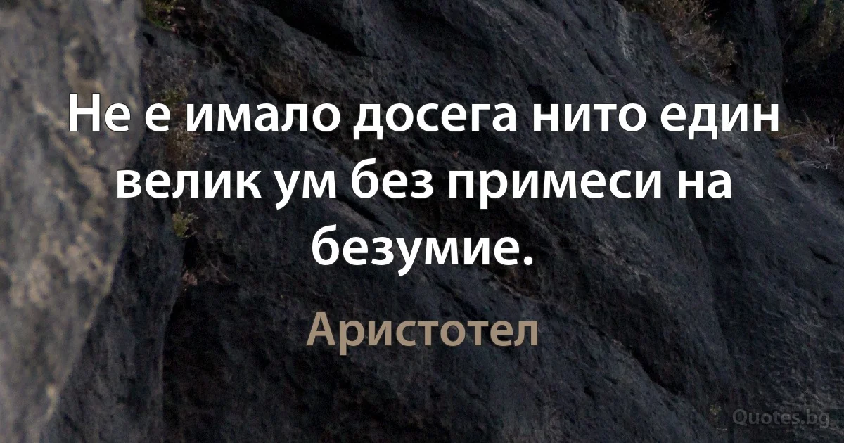 Не е имало досега нито един велик ум без примеси на безумие. (Аристотел)