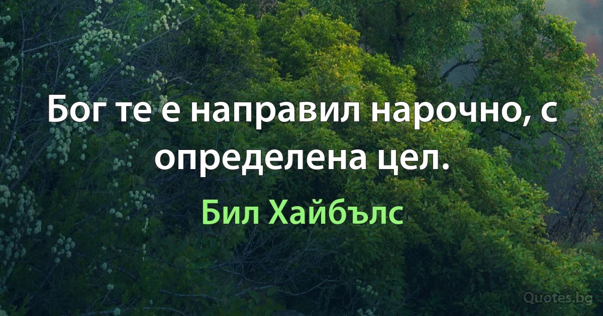 Бог те е направил нарочно, с определена цел. (Бил Хайбълс)