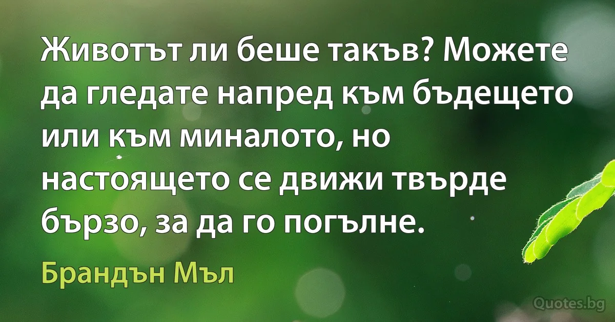 Животът ли беше такъв? Можете да гледате напред към бъдещето или към миналото, но настоящето се движи твърде бързо, за да го погълне. (Брандън Мъл)