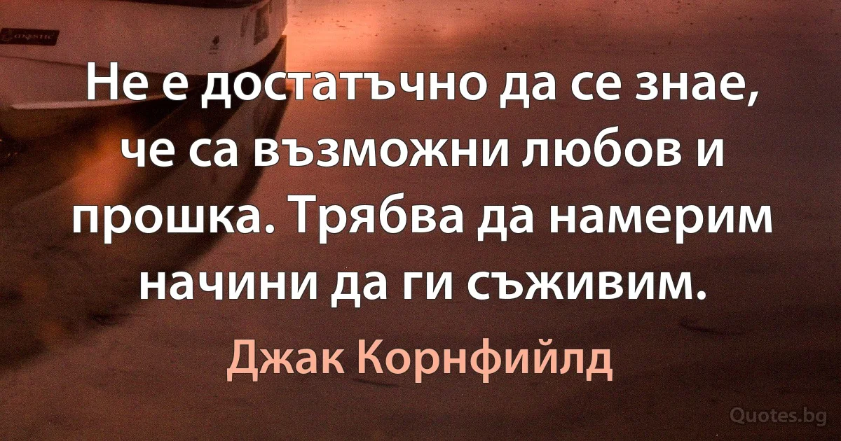 Не е достатъчно да се знае, че са възможни любов и прошка. Трябва да намерим начини да ги съживим. (Джак Корнфийлд)